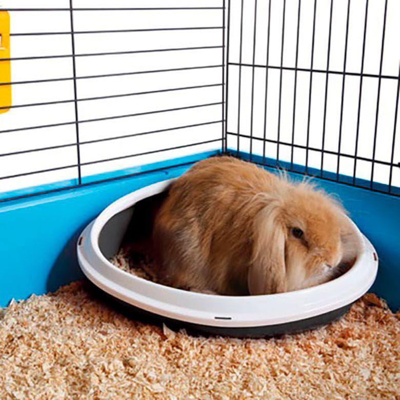 Bandeja Esquinera Concha