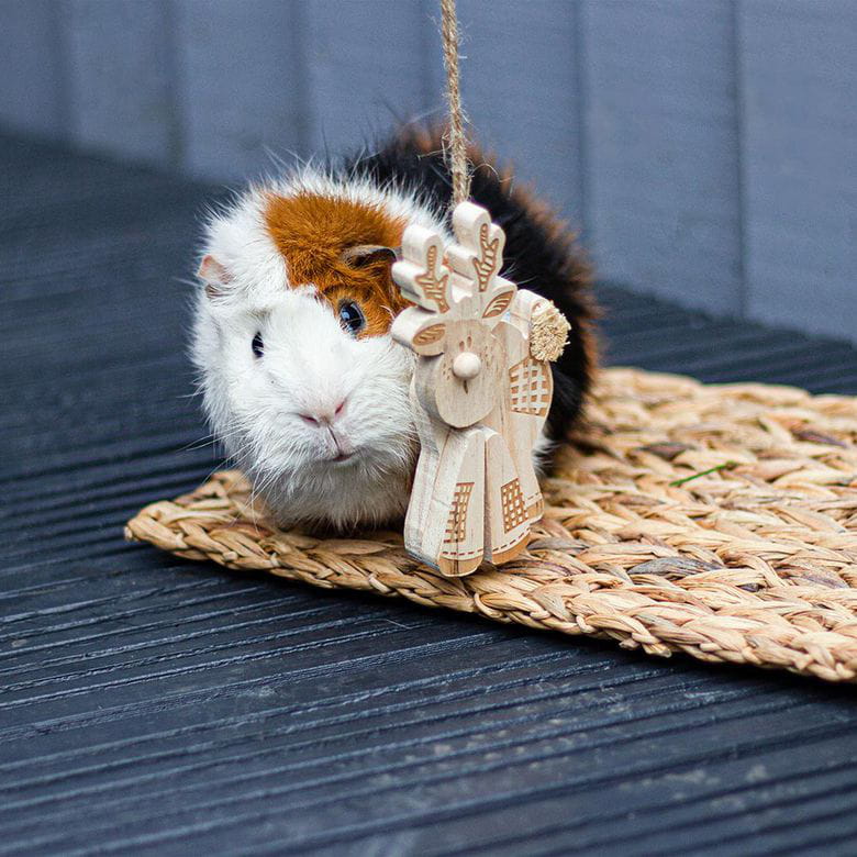 Reno de madera - Especial Navidad