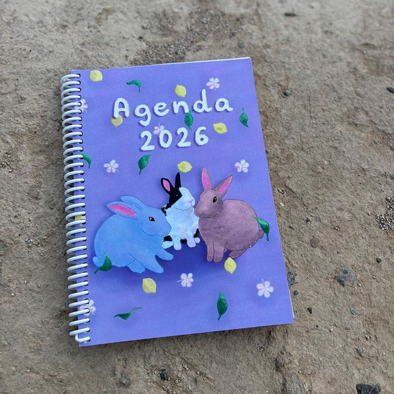 Agenda solidaria La Vedruna 2026