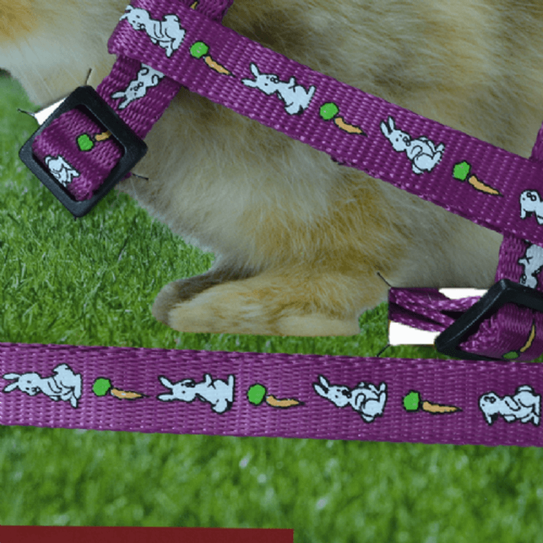 Arnés y correa conejo trixie