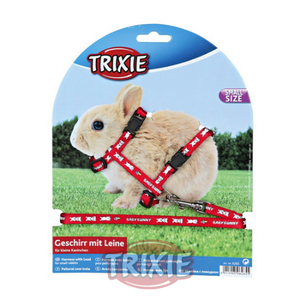 Arnés con Correa Conejo Baby