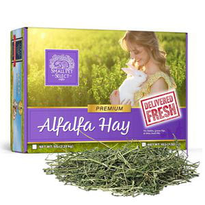 Small Pet Select - Heno de Alfalfa