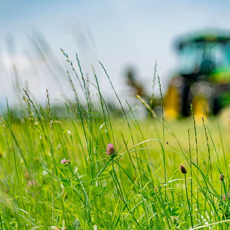 Samerberger Heno Bio Premium - 2º Corte