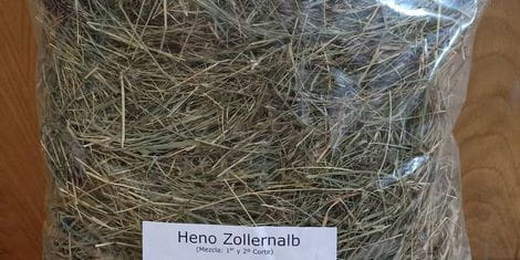 zollernalb.jpg